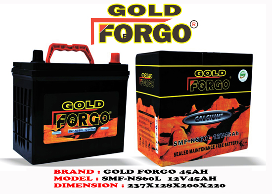Gold Forgo 45AH